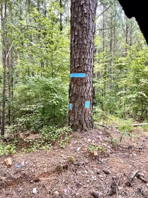 Other - 2019 Highway 231, Equality, AL 36026 photo 20 of 25