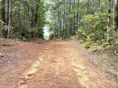 Other - 2019 Highway 231, Equality, AL 36026 photo 18 of 25