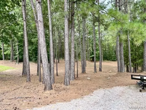 Exterior - 2019 Highway 231, Equality, AL 36026 photo 16 of 20