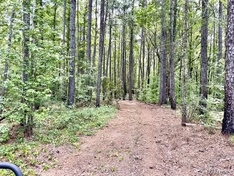 Other - 2019 Highway 231, Equality, AL 36026 photo 23 of 25