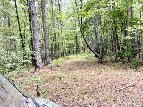 Other - 2019 Highway 231, Equality, AL 36026 photo 25 of 25
