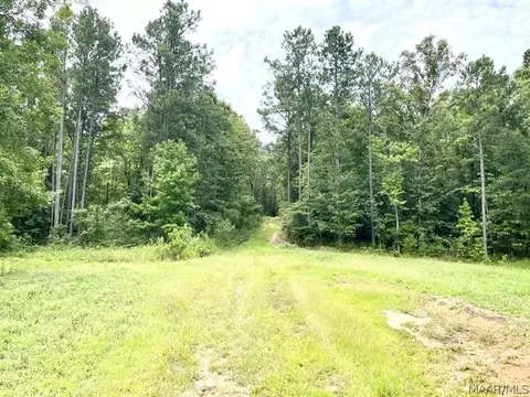 Other - 2019 Highway 231, Equality, AL 36026 photo 16 of 25