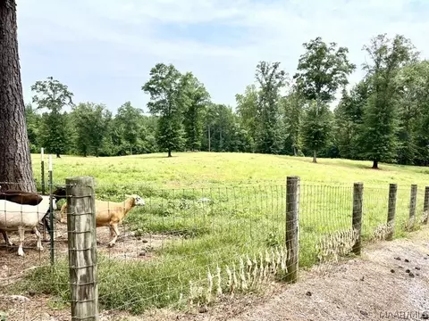 Other - 2019 Highway 231, Equality, AL 36026 photo 10 of 25