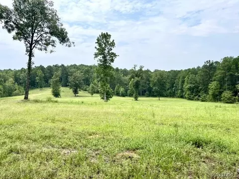 Other - 2019 Highway 231, Equality, AL 36026 photo 13 of 25