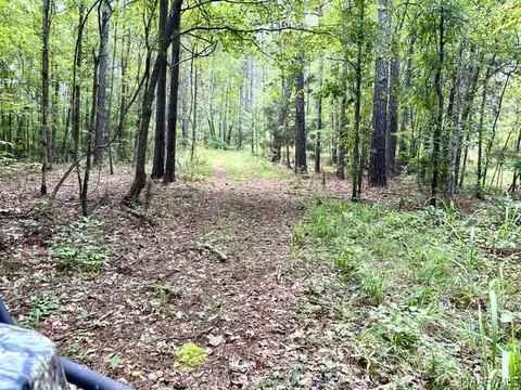 Other - 2019 Highway 231, Equality, AL 36026 photo 12 of 25
