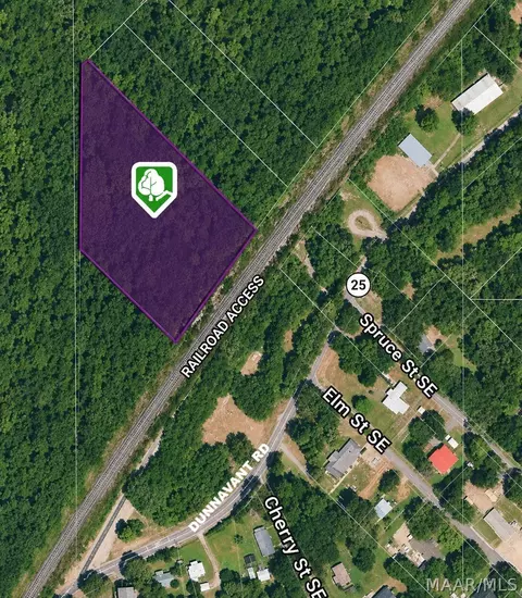 8315 Dunnavant Rd, Leeds, AL 35094