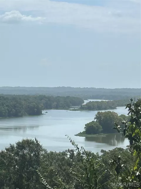 3 Prairie Bluff Dr, Catherine, AL 36728
