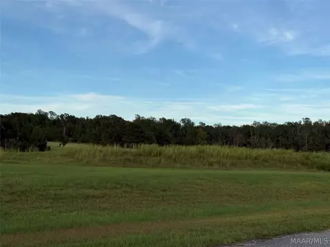 lot4 Chesson Ct, Fitzpatrick, AL 36029 photo 14