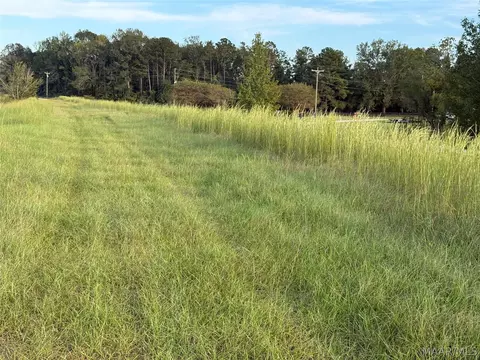 lot4 Chesson Ct, Fitzpatrick, AL 36029 photo 11