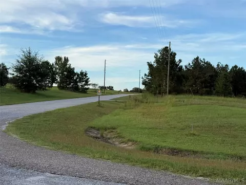 lot4 Chesson Ct, Fitzpatrick, AL 36029 photo 12
