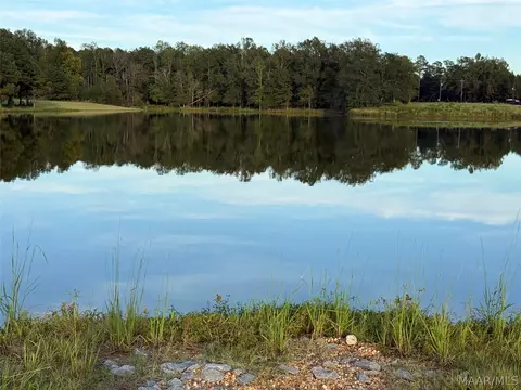 lot4 Chesson Ct, Fitzpatrick, AL 36029 photo 3
