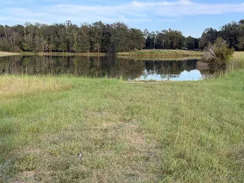 lot4 Chesson Ct, Fitzpatrick, AL 36029 photo 6