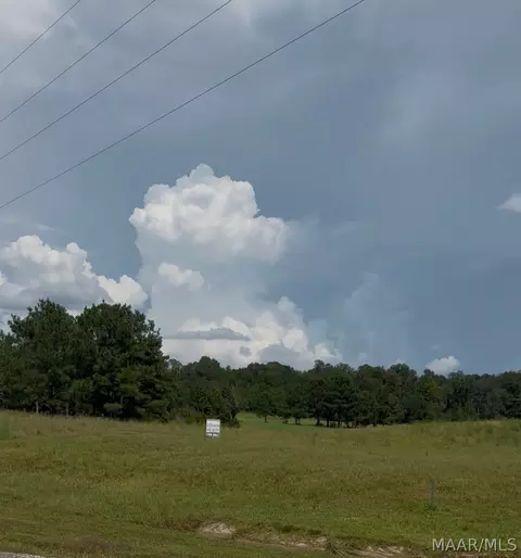 lot4 Chesson Ct, Fitzpatrick, AL 36029 photo 4