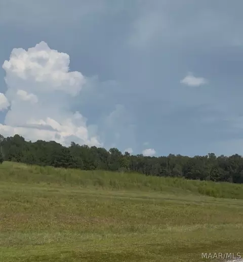 lot4 Chesson Ct, Fitzpatrick, AL 36029 photo 5