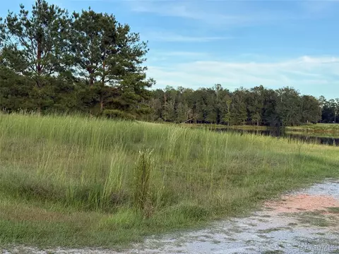 lot4 Chesson Ct, Fitzpatrick, AL 36029 photo 8