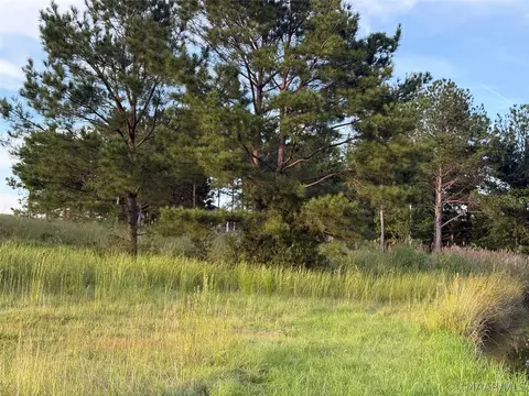 lot4 Chesson Ct, Fitzpatrick, AL 36029 photo 5