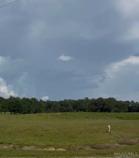 lot4 Chesson Ct, Fitzpatrick, AL 36029 photo 2