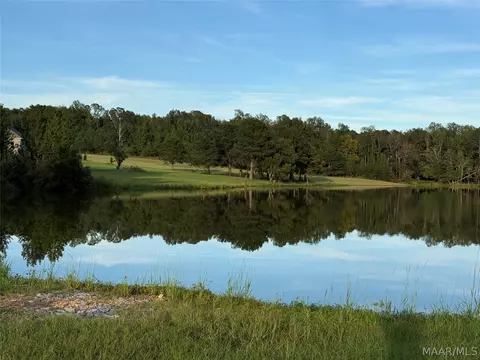 lot4 Chesson Ct, Fitzpatrick, AL 36029 photo 2
