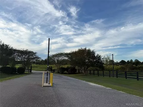 lot4 Chesson Ct, Fitzpatrick, AL 36029 photo 16