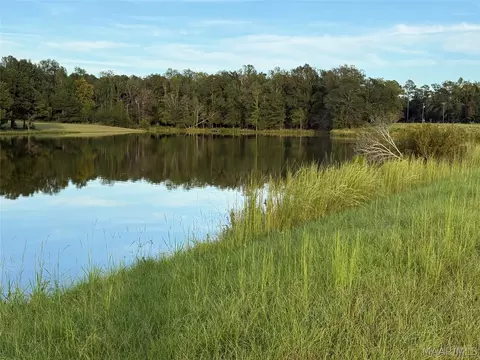 lot4 Chesson Ct, Fitzpatrick, AL 36029 photo 10