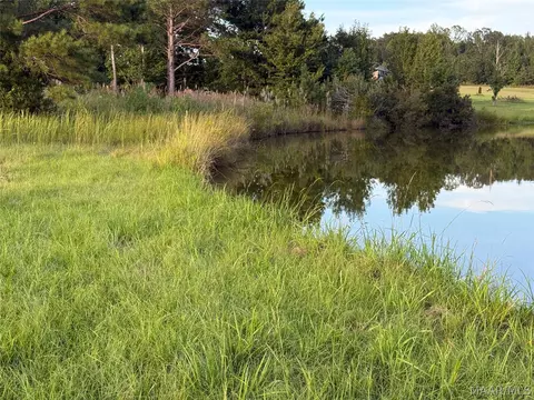 lot4 Chesson Ct, Fitzpatrick, AL 36029 photo 4