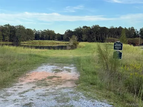 lot4 Chesson Ct, Fitzpatrick, AL 36029 photo 7