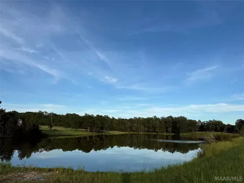 lot4 Chesson Ct, Fitzpatrick, AL 36029