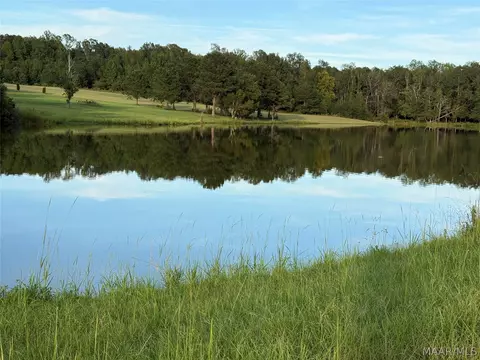 lot4 Chesson Ct, Fitzpatrick, AL 36029 photo 9