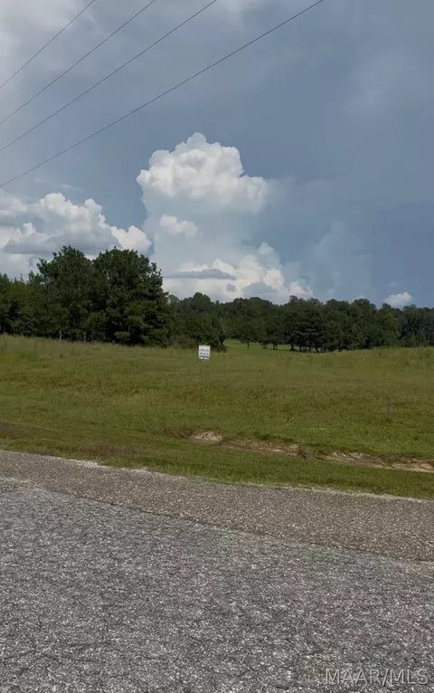 lot4 Chesson Ct, Fitzpatrick, AL 36029 photo 3