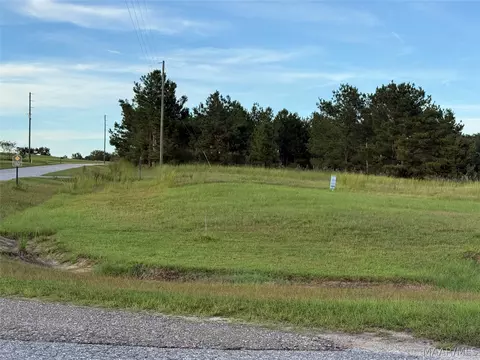 lot4 Chesson Ct, Fitzpatrick, AL 36029 photo 13