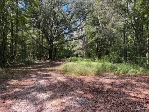 00 County Road 4 Rd, Fitzpatrick, AL 36029 photo 17