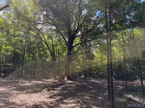 00 County Road 4 Rd, Fitzpatrick, AL 36029 photo 21
