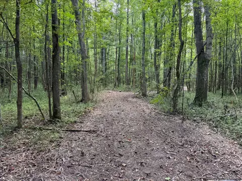 00 County Road 4 Rd, Fitzpatrick, AL 36029 photo 25