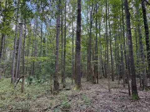 00 County Road 4 Rd, Fitzpatrick, AL 36029 photo 28