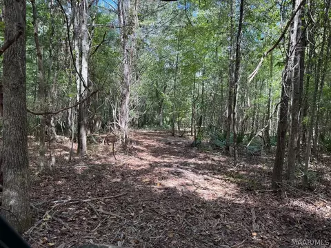 00 County Road 4 Rd, Fitzpatrick, AL 36029 photo 12