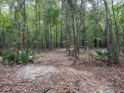 00 County Road 4 Rd, Fitzpatrick, AL 36029 photo 23