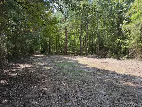 00 County Road 4 Rd, Fitzpatrick, AL 36029 photo 2