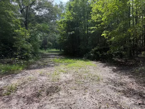 00 County Road 4 Rd, Fitzpatrick, AL 36029 photo 5