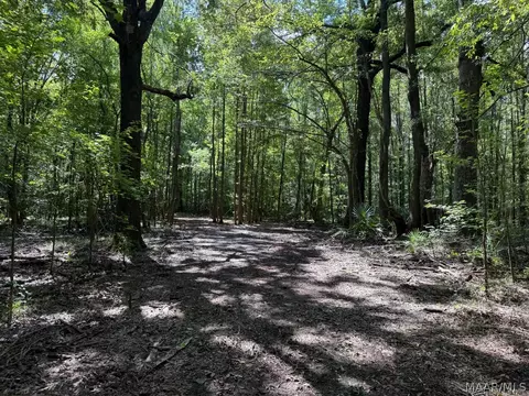 00 County Road 4 Rd, Fitzpatrick, AL 36029 photo 8