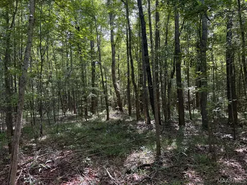 00 County Road 4 Rd, Fitzpatrick, AL 36029 photo 7