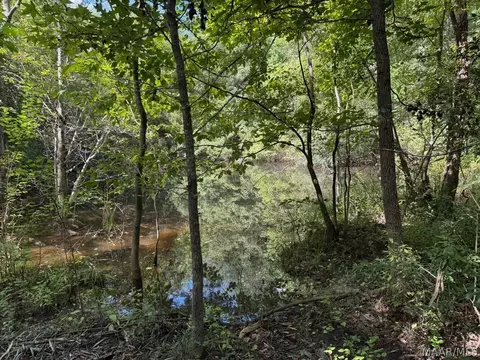 00 County Road 4 Rd, Fitzpatrick, AL 36029 photo 13