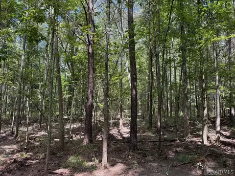 00 County Road 4 Rd, Fitzpatrick, AL 36029 photo 15