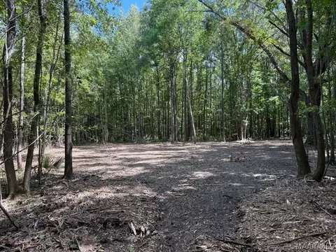 00 County Road 4 Rd, Fitzpatrick, AL 36029 photo 11