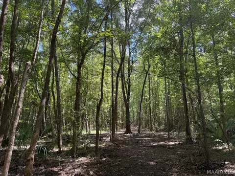 00 County Road 4 Rd, Fitzpatrick, AL 36029 photo 10