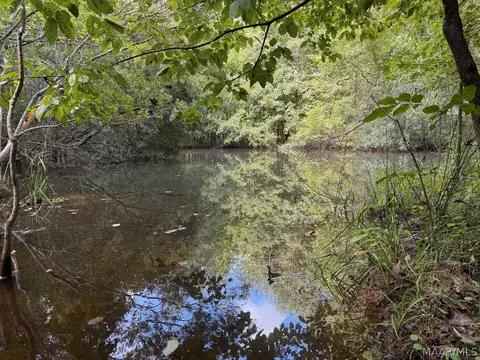 00 County Road 4 Rd, Fitzpatrick, AL 36029 photo 22