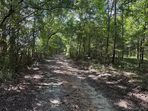 00 County Road 4 Rd, Fitzpatrick, AL 36029 photo 3