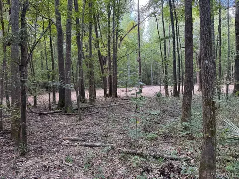 00 County Road 4 Rd, Fitzpatrick, AL 36029 photo 27