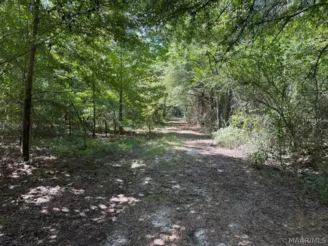00 County Road 4 Rd, Fitzpatrick, AL 36029 photo 4