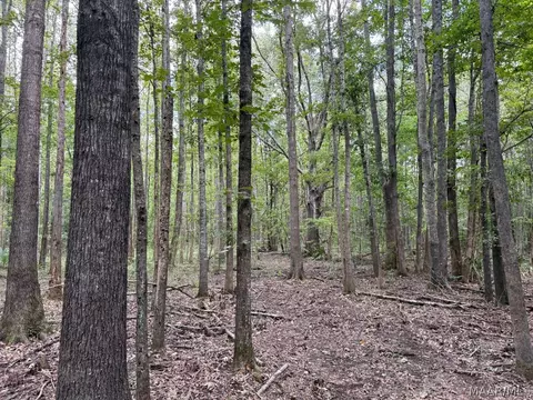 00 County Road 4 Rd, Fitzpatrick, AL 36029 photo 29