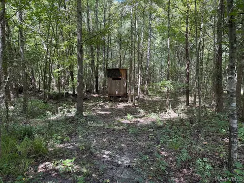 00 County Road 4 Rd, Fitzpatrick, AL 36029 photo 18